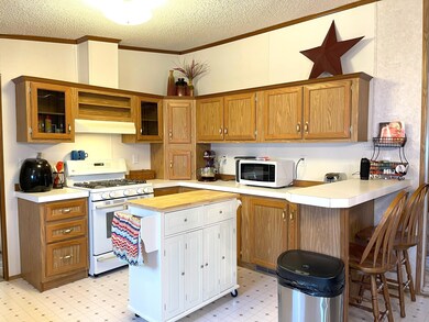 KItchen view 2