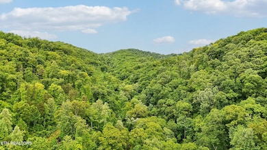201 BIRCH HOLLOW RD