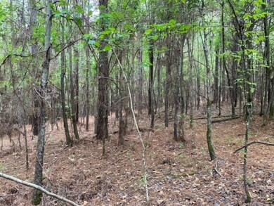 TBA County Road 435, Oxford, MS 38655 - photo 4