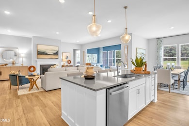 P_RAL_FAL_Brandt_Model_INT_KIT_8