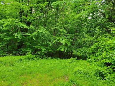 0 Butter Hill Rd unit 4913710, Chatham, NH 03813 - photo 4