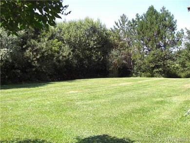 Yard/Garden