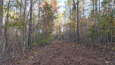 0 County Road 95 unit 177919, Lafayette, AL 36862 - photo 7