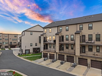 22506 Wilson View Terrace, Ashburn, VA 20148 - photo 2