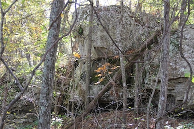 0 Cr 935 unit 1329173, Berryville, AR 72616 - photo 5