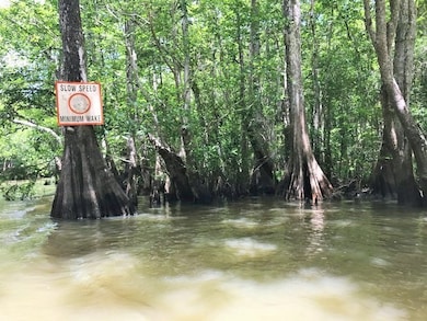 Lot 2 Old Bay City Rd, Wewahitchka, FL 32465 - photo 5