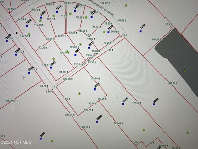 1945 Deep Creek Run, Wilmington, NC 28411 - photo 5