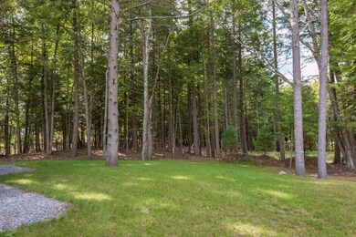 Large wooded back yard