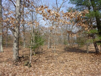 10712 N Beaver Trail, Bitely, MI 49309 - photo 3