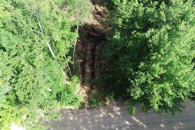 63-11-5 Ossipee Mountain Rd unit 63/11-5, Ossipee, NH 03864 - photo 2