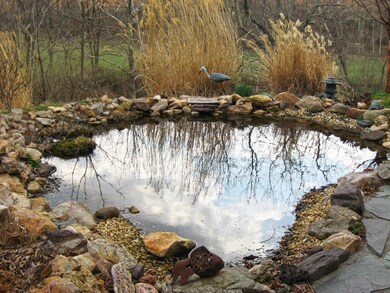 aa_Pond 2