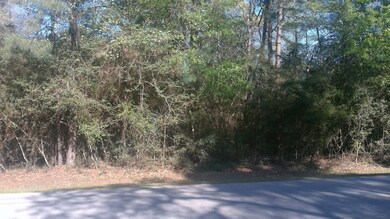 Lot 48 Pipestone Rd, Magnolia, TX 77354 - photo 4