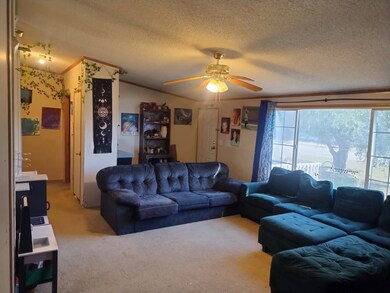 5516 Old Granbury Rd, Granbury, TX 76049 - photo 6