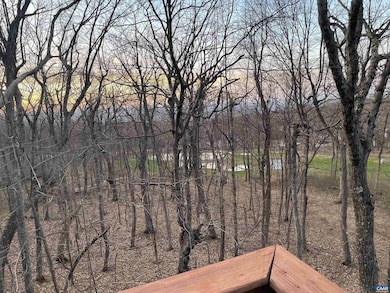 487 E Catoctin Dr, Wintergreen Resort, VA 22967 - photo 2