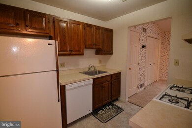 10 Maplewood Ave unit 3B, Mohnton, PA 19540 - photo 6