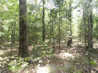 2136 S Chapel Hill Church Rd, Denton, NC 27239 - photo 5