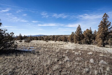 2025_02_26_southwest_texas_circle_lot-35