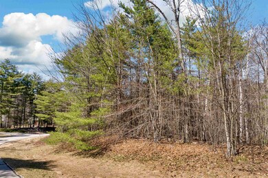 0 Country Rd unit 71, AKA 131 4993072, Conway, NH 03860 - photo 6