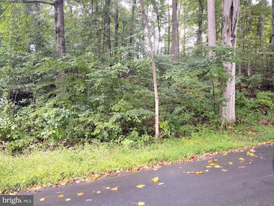 Lots 126-127 Codjus Dr, Rising Sun, MD 21911 - photo 3