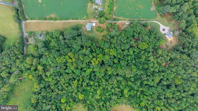 16300 Pleasant Mill Rd, Montpelier, VA 23192 - photo 6