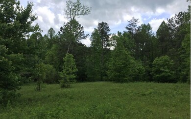 Additional View
