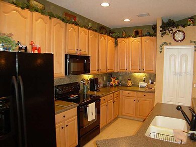 9845 Jasmine Brook Cir, Land O Lakes, FL 34638 - photo 3