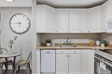 10 Riverside St unit 1-4, Watertown, MA 02472 - photo 6