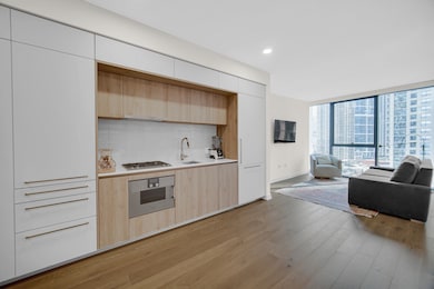 Cirrus Condominiums unit 1207, Chicago, IL 60601 - photo 4