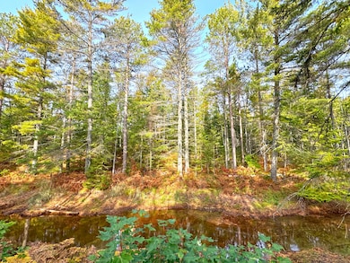 LOT 7 Third Creek Subdivision, Paradise, MI 49768 - photo 3