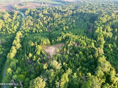 0 John I Hay Rd, Wesson, MS 39191 - photo 6