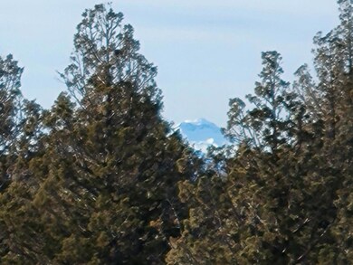 Resized_20220114_130751