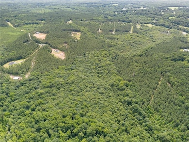 0000 Wilson Rd, Temple, GA 30179 - photo 6