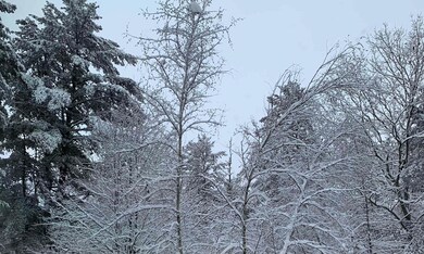 0 Cushing Rd, Hartford, VT 05001 - photo 3