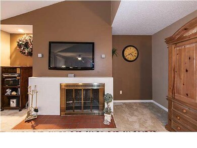 Wood burning fireplace in living room