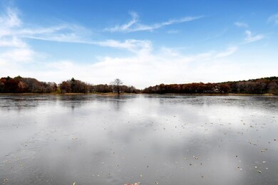 Lake out your walkout level