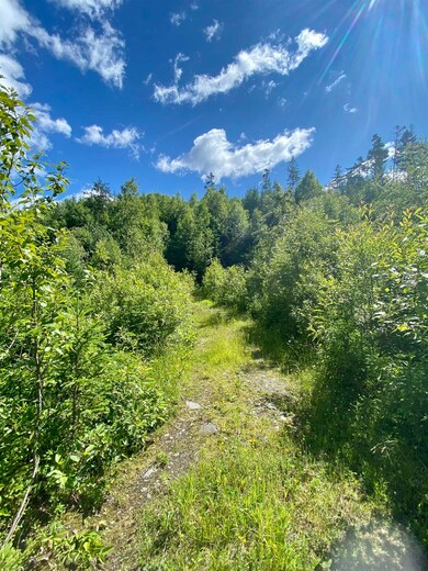 0 Quimby Rd unit 16 4918978, Stewartstown, NH 03576 - photo 2