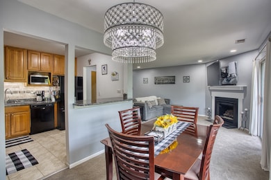 7070 Newport Dr unit 203, Woodridge, IL 60517 - photo 6