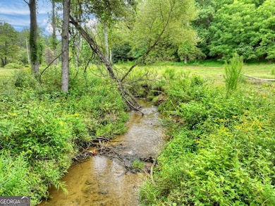 34.56 Ac Weaver Creek Rd, Blue Ridge, GA 30513 - photo 2