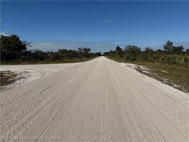 2272 SW Anderson Rd, Avon Park, FL 33825 - photo 3