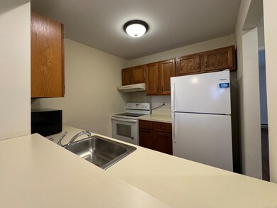 136 Pembroke Rd unit 101, Danbury, CT 06811 - photo 6