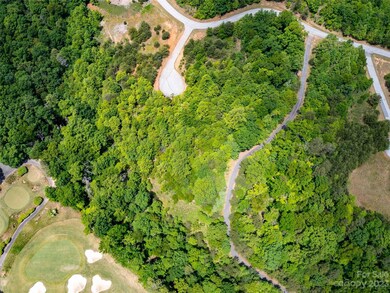 Lot 145 Wee Burn Cove, Mill Spring, NC 28756 - photo 5