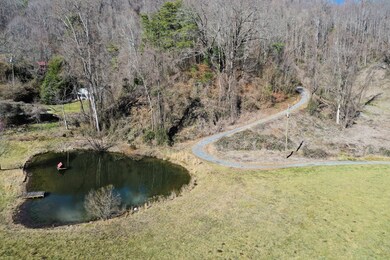000 Buff Creek Rd, Sylva, NC 28779 - photo 2