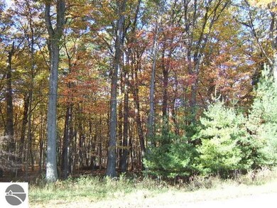 00 Rumsey Rd, Au Gres, MI 48703 - photo 4