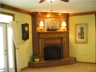 FIREPLACE WITH GAS LOGS