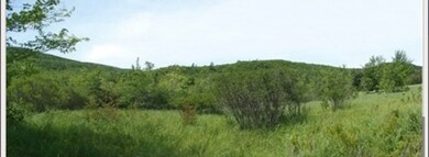 0 Pleasant St, Granby, MA 01033 - photo 3