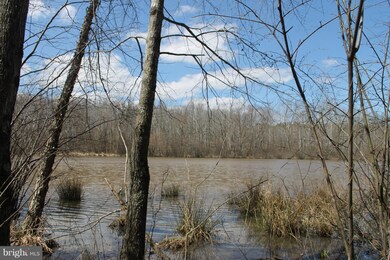 0 Governors Point Ln unit 1002371518, Unionville, VA 22567 - photo 5