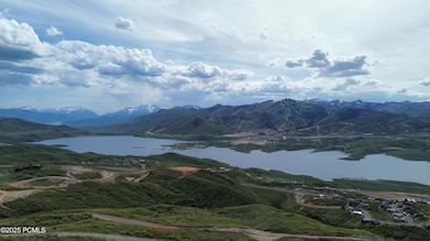 dji_fly_20250528_161620_156_174847073250