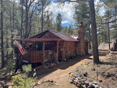 15751 S Elk Creek Rd, Pine, CO 80470 - photo 3