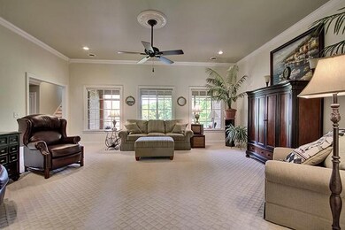 Living room has new architectural carpeting and lives out to the private rear yard