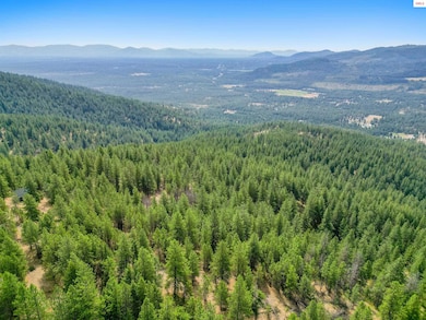 NNA Usfs 2550 (40 Acres), Blanchard, ID 83804 - photo 3